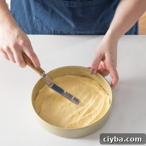 Bublanina Baking Masterclass: Techniques, Tips & Recipe Guide 22 img 127907 21