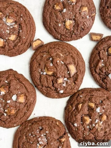 a few chocolate peanut butter cup cookies together.