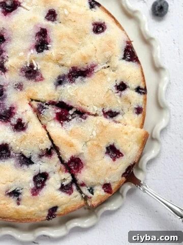 lemon blueberry sour cream cake on a cake plate with a spatula taking a piece.
