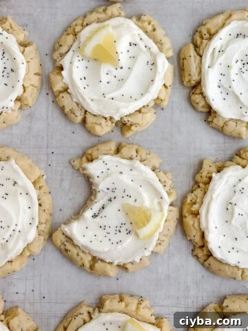 lemon poppyseed cookies with a bite missing from one.