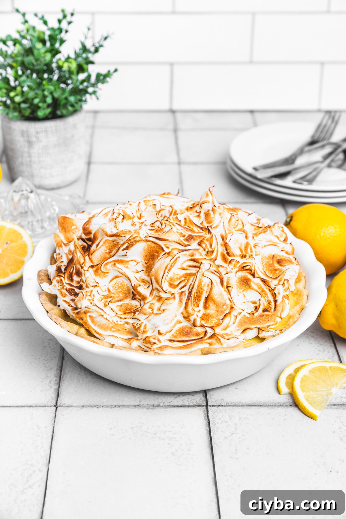 whole lemon meringue pie with toasted meringue topping