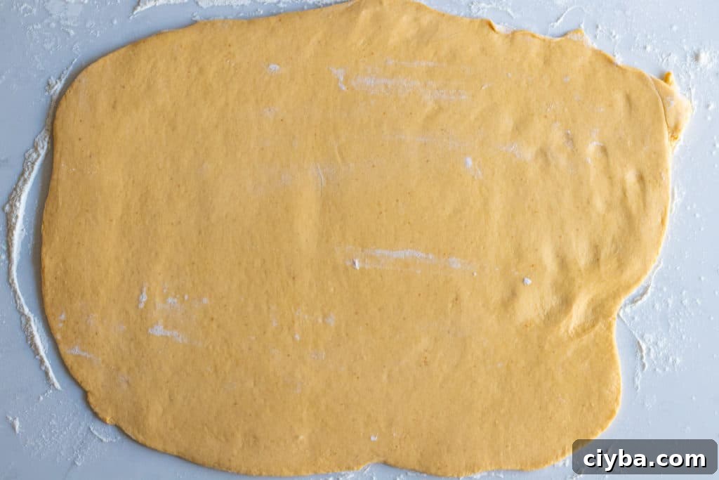 pumpkin babka dough rolled out into rectangle