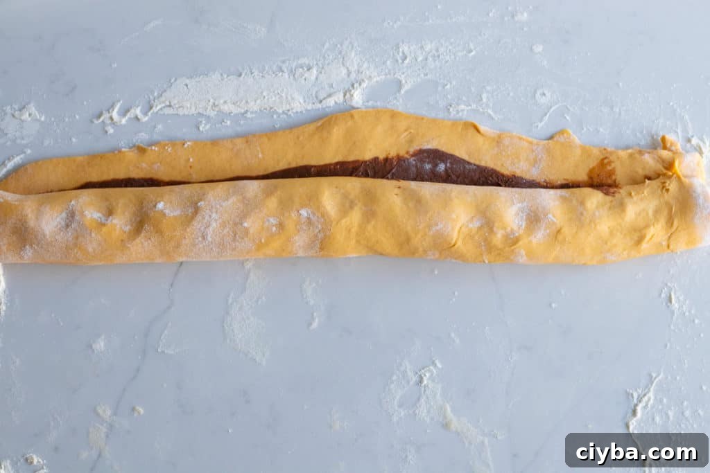 pumpkin babka dough rolled with nutella