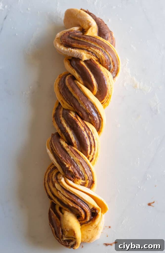 pumpkin nutella babka dough unbaked