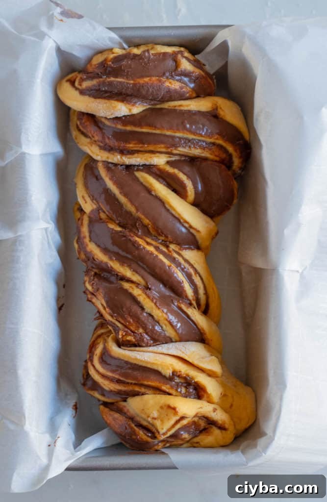 pumpkin nutella babka dough in loaf pan