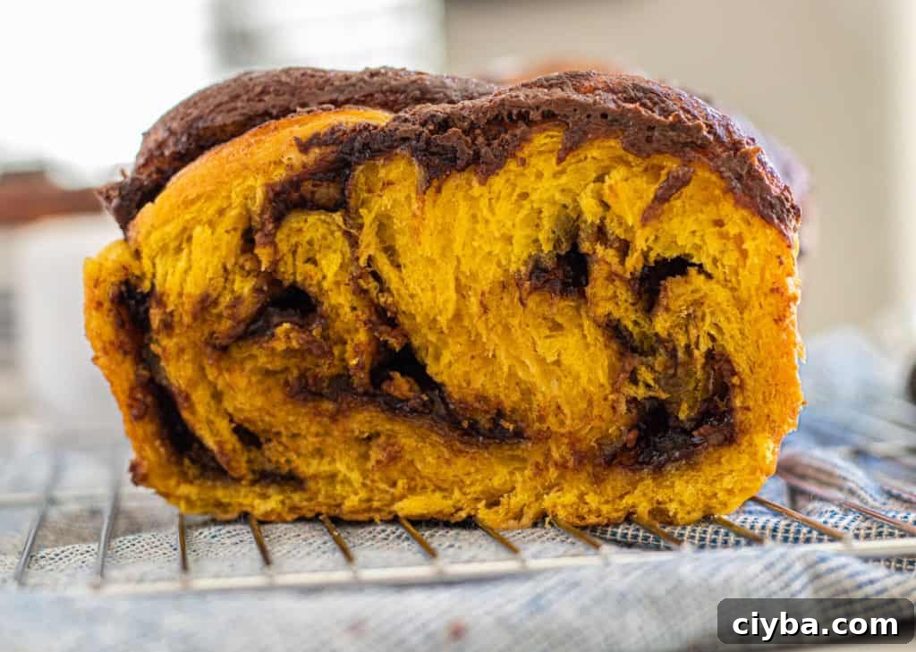 close up of pumpkin nutella babka 