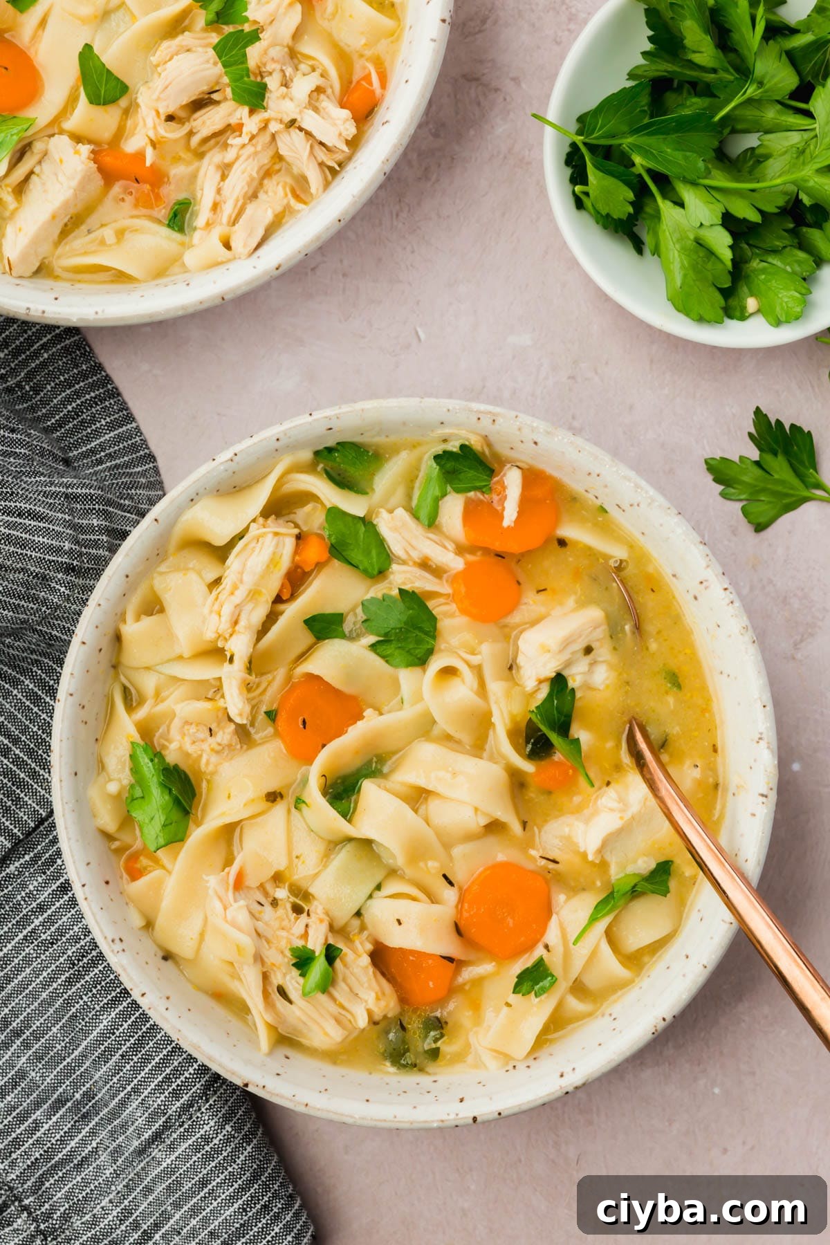 A bowl of gluten-free chicken noodle soup. 