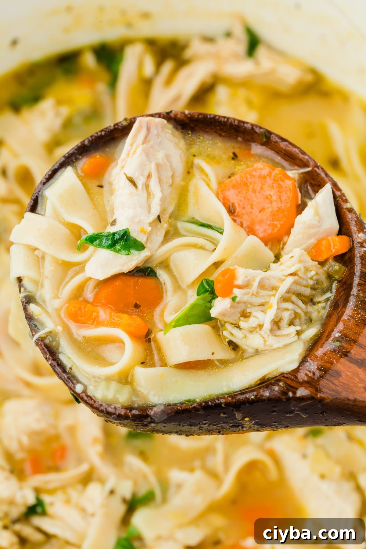 A spoonful of gluten-free chicken noodle soup.