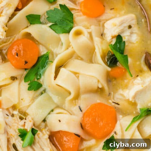 A close up of a bowl of gluten-free chicken noodle soup.