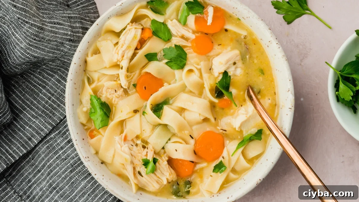 A bowl of gluten-free chicken noodle soup.