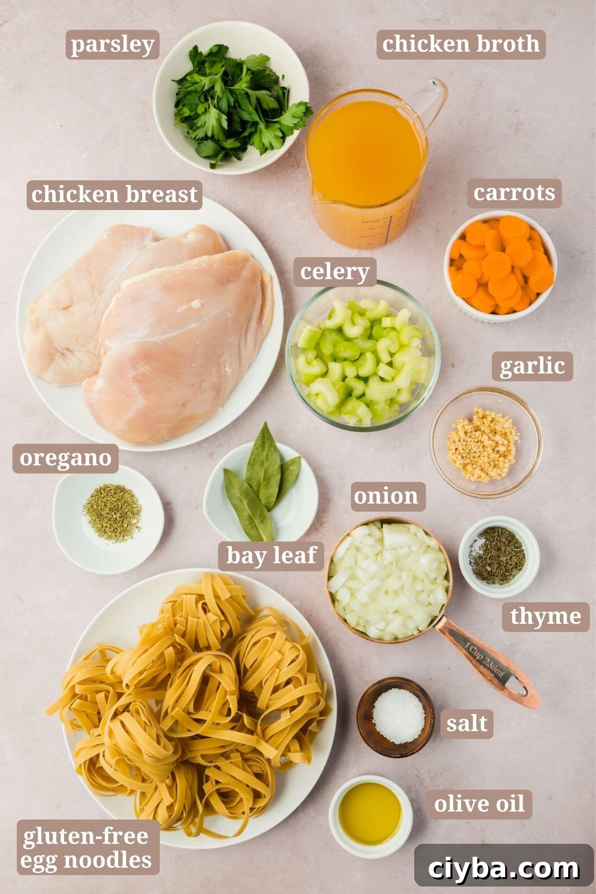 Ingredients for making gluten-free chicken noodle soup.