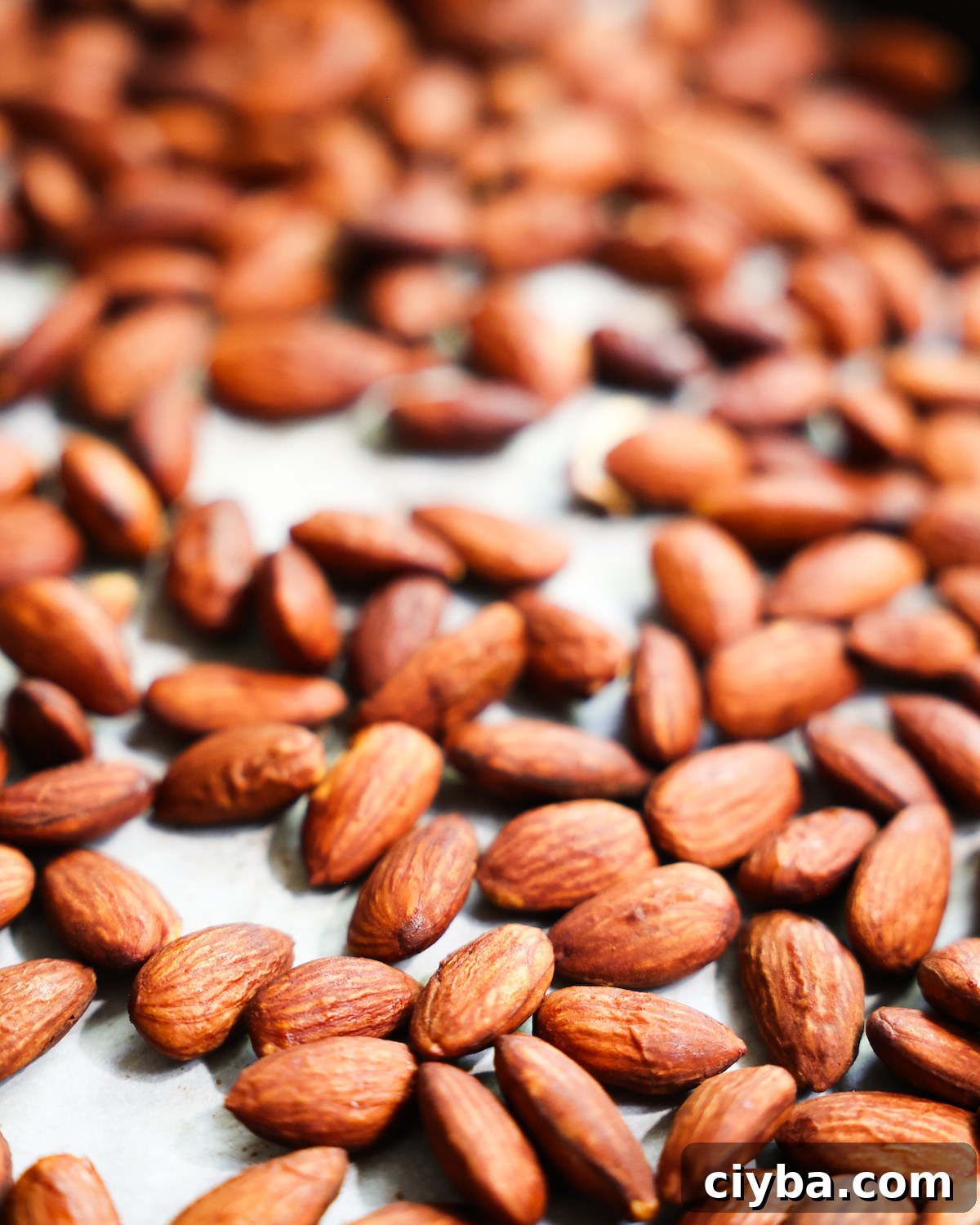 A close up side shot of a pan of roasted tamari almonds.
