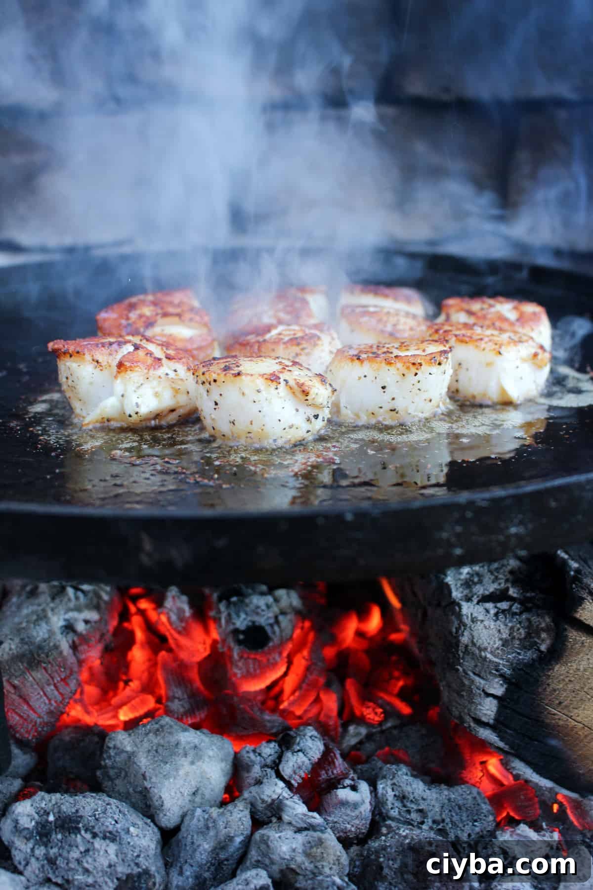 Cilantro-Lime Butter Scallops Recipe for Zesty Seafood Nights 4 cilantro lime butter scallops