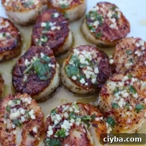 Cilantro-Lime Butter Scallops Recipe for Zesty Seafood Nights 6 Cilantro Lime Butter Scallops