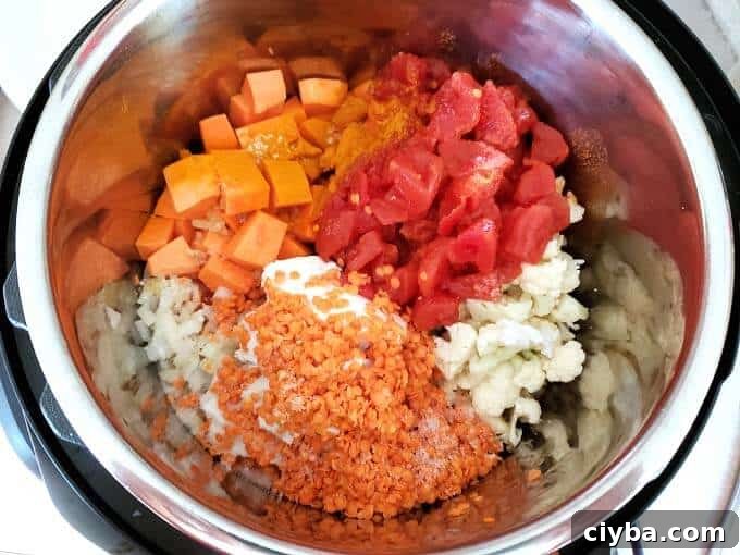 Ingredients for Vegetable curry in pot before cooking