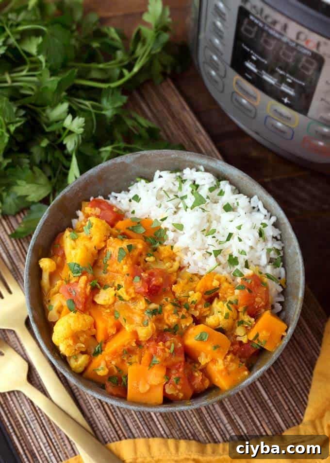 pressure cooker Vegetable Curry with rice in gray bowl next to pressure cooker and two gold forks