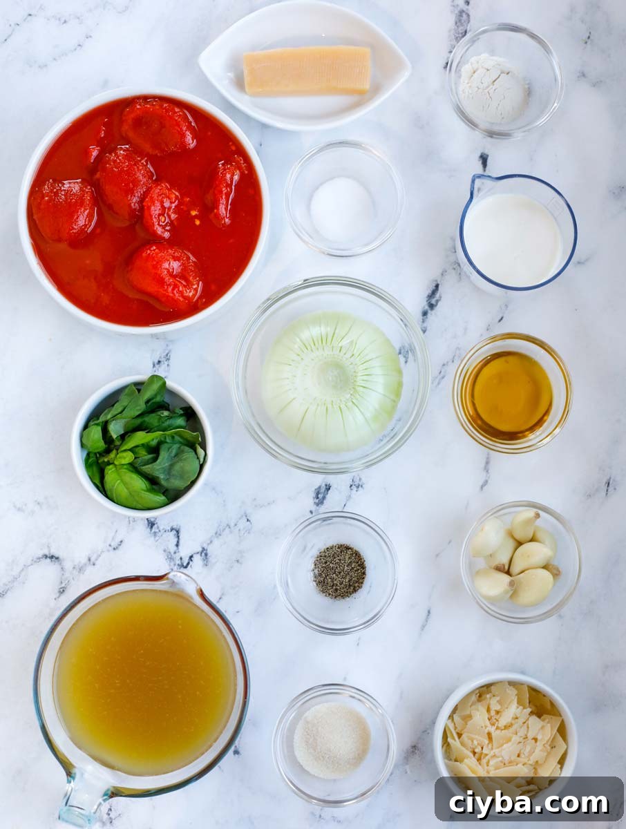 Ingredients needed to make tomato soup.