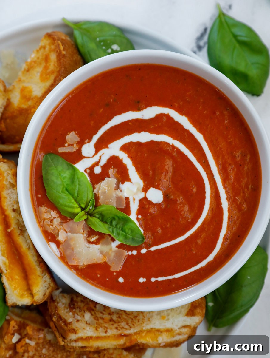 Overhead view of a bowl of creamy tomato soup topped off with basil, cream, and parmesan.