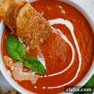 Bowl of tomato soup with bread, basil, and parmesan on top.