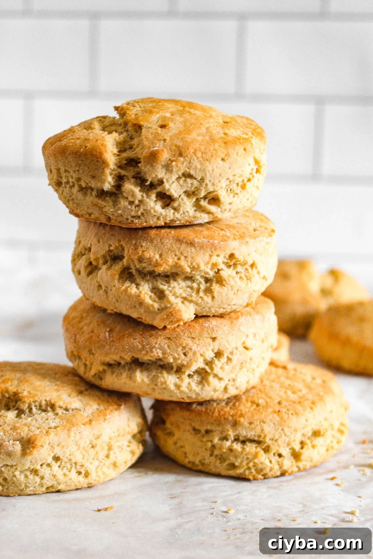 stack of biscuits