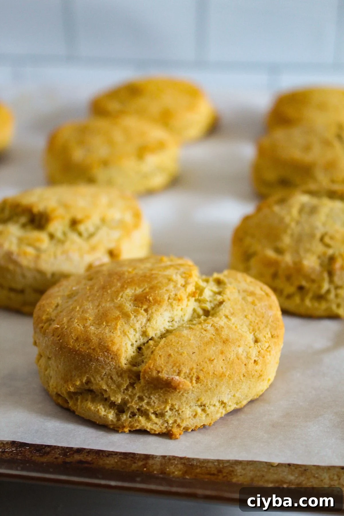 baked biscuits