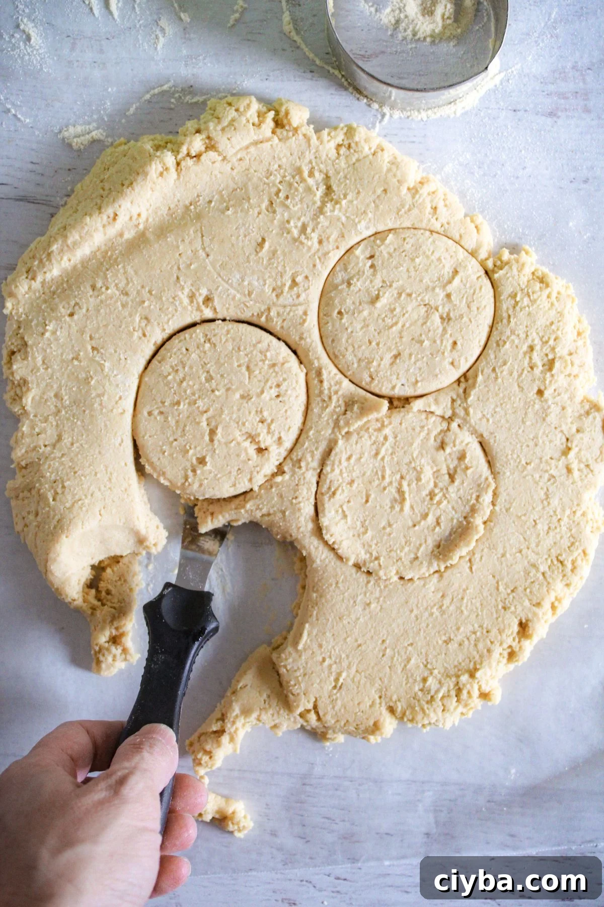 cutting biscuits out of rolled-out biscuit batter