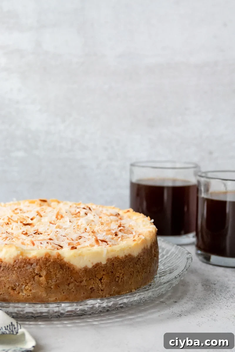 toasted coconut cheesecake with coffee in the background