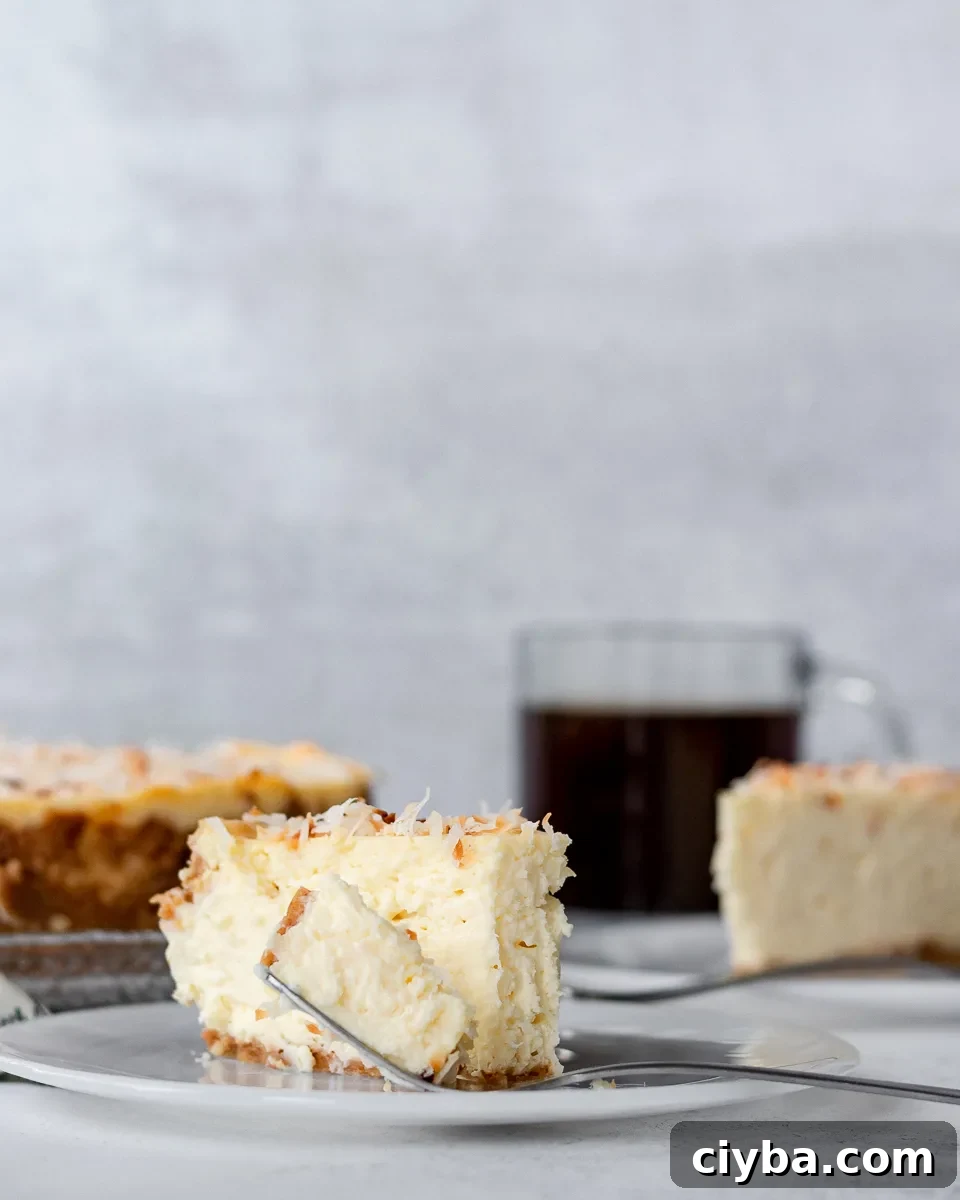 Toasted Coconut Cheesecake Recipe with Crunchy Coconut Crust 6 img 14066 10