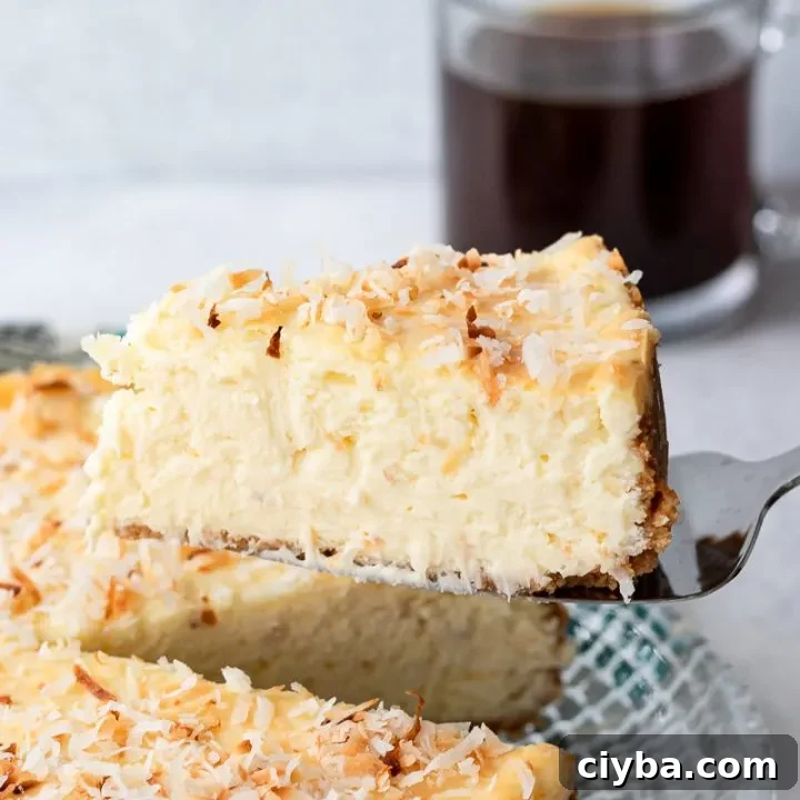 Toasted Coconut Cheesecake