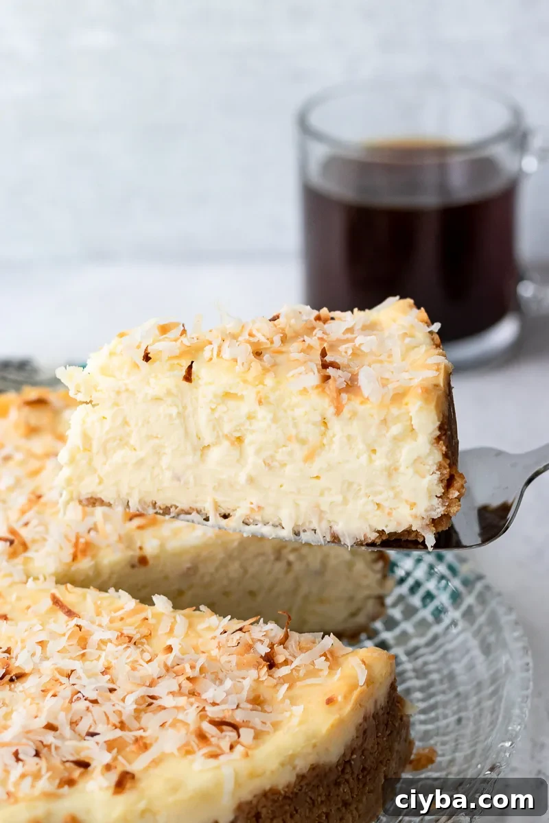 Toasted Coconut Cheesecake Recipe with Crunchy Coconut Crust 3 img 14066 4