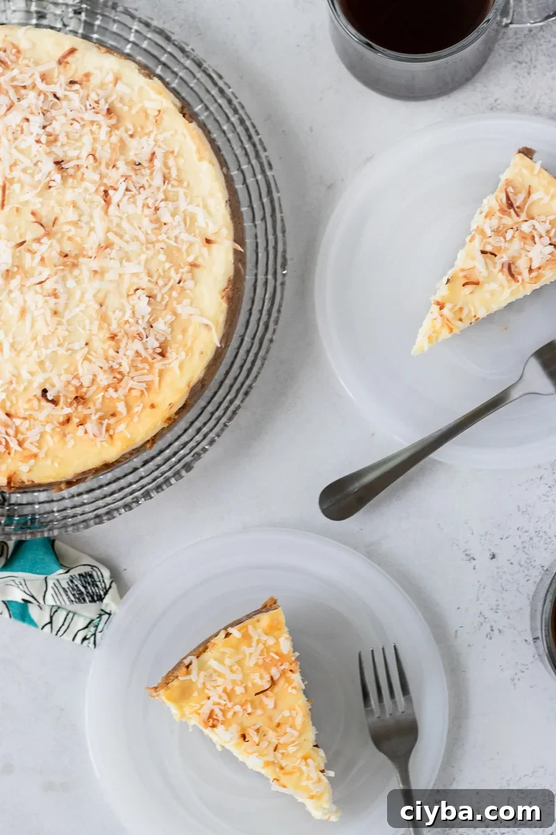 Toasted Coconut Cheesecake Recipe with Crunchy Coconut Crust 5 img 14066 8