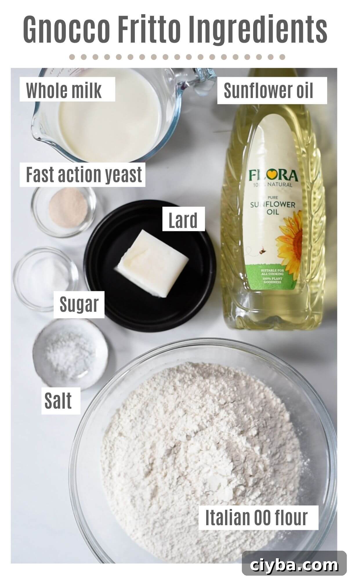 An overhead shot of all the ingredients needed to make Gnocco Fritto.