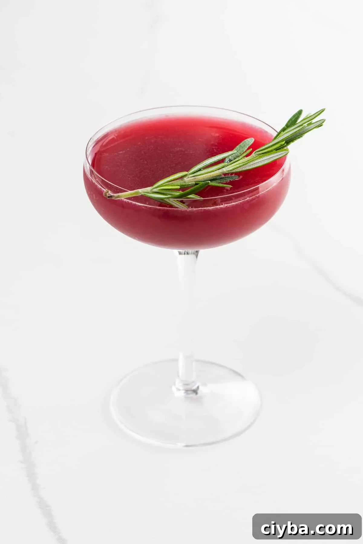 a blood orange cocktail in a coupe glass garnished with a rosemary sprig