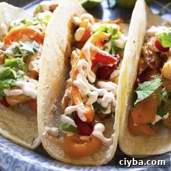Chicken Fajita