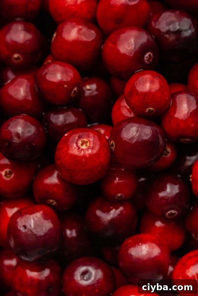 close up of fresh cranberries