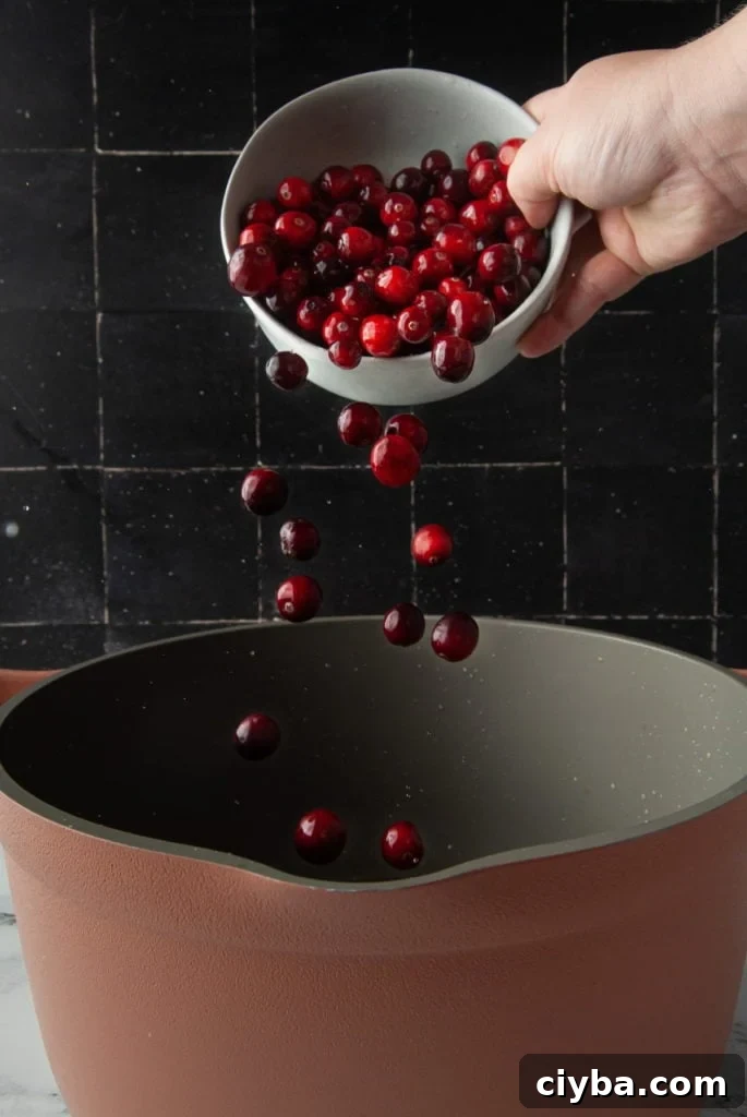 adding cranberries to a large pot