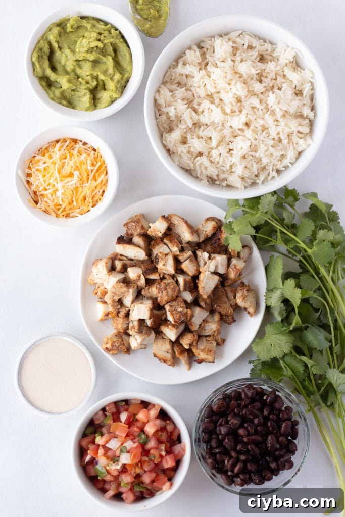 top down shot of ingredients for a grilled chicken burrito bowl on a light gray background.