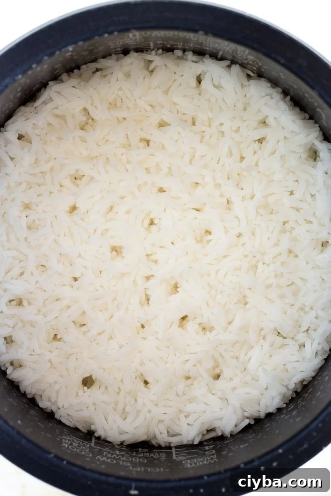 cooked rice in a cast iron bowl