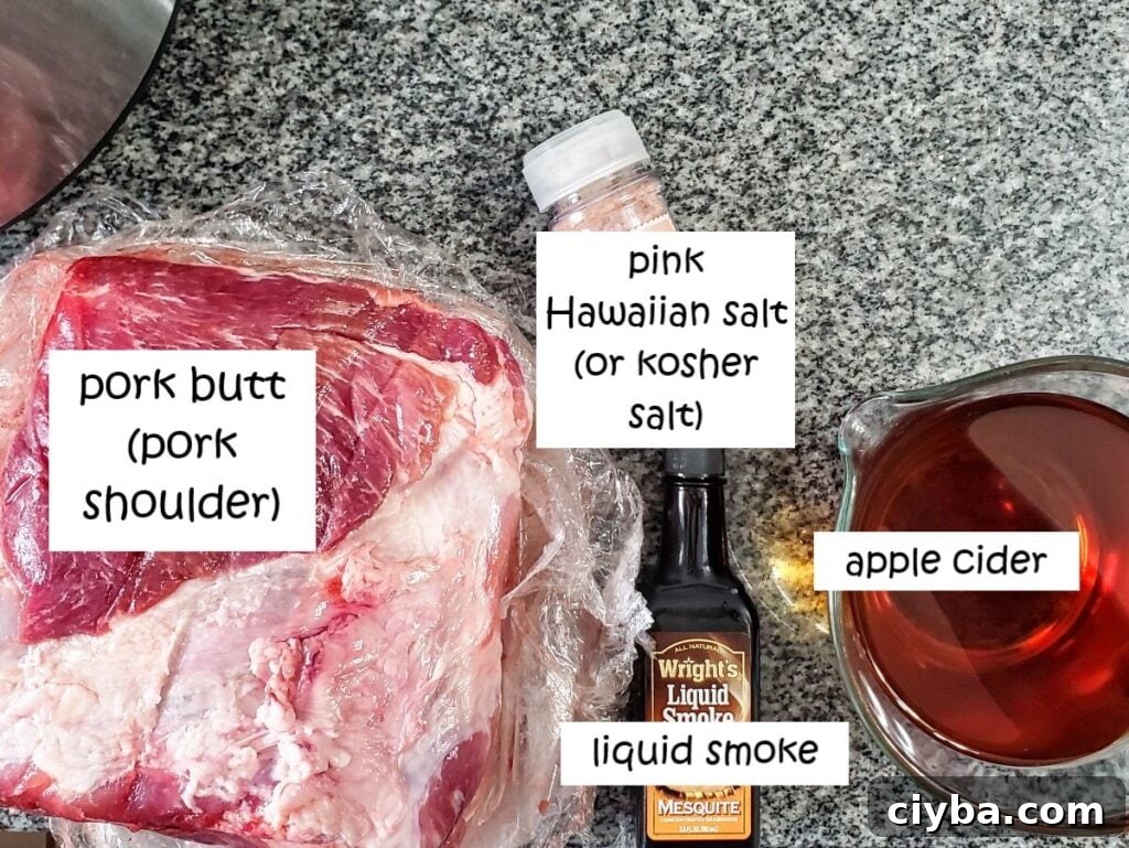 ingredients for pulled pork labeled and measured out on granite countertop.