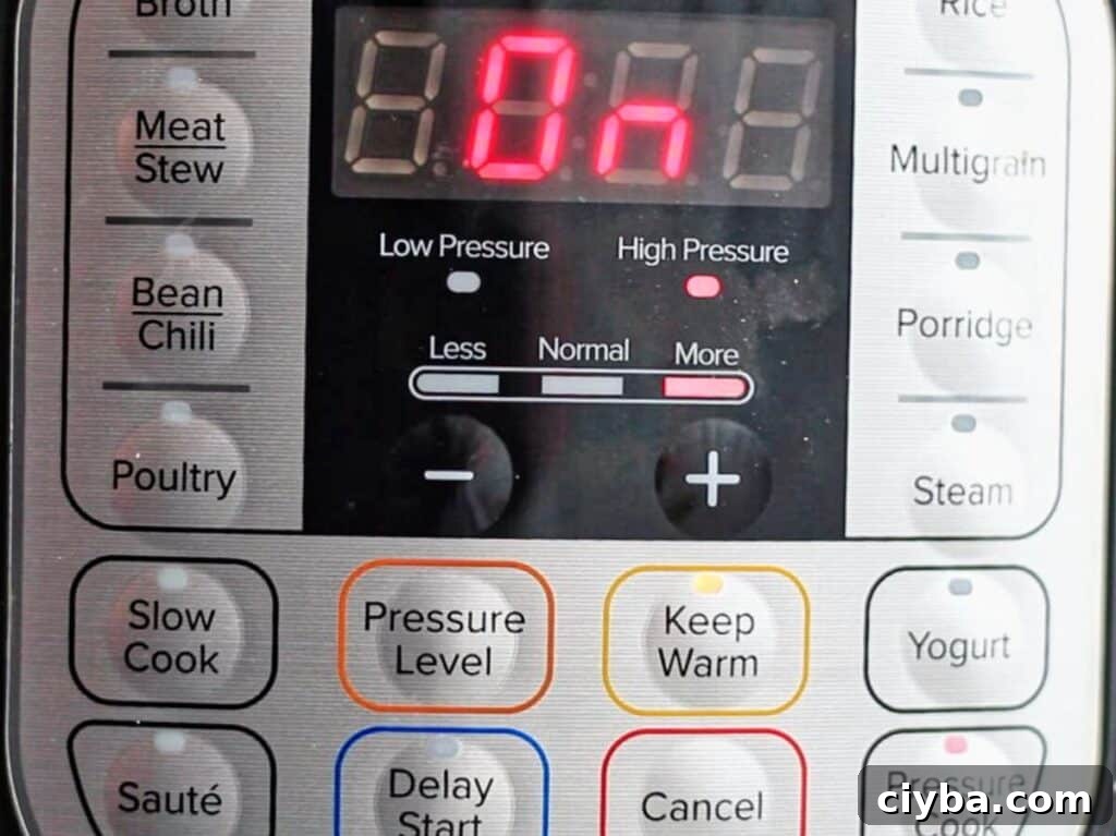 instant pot on and ready to pressure cook.