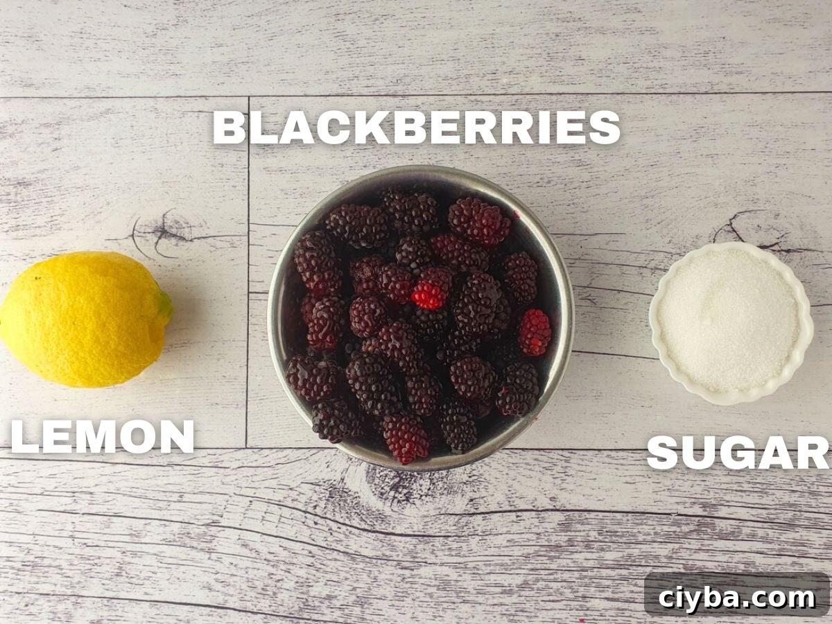 Blackberry coulis ingredients: fresh lemon, blackberries, granulated sugar (not shown).