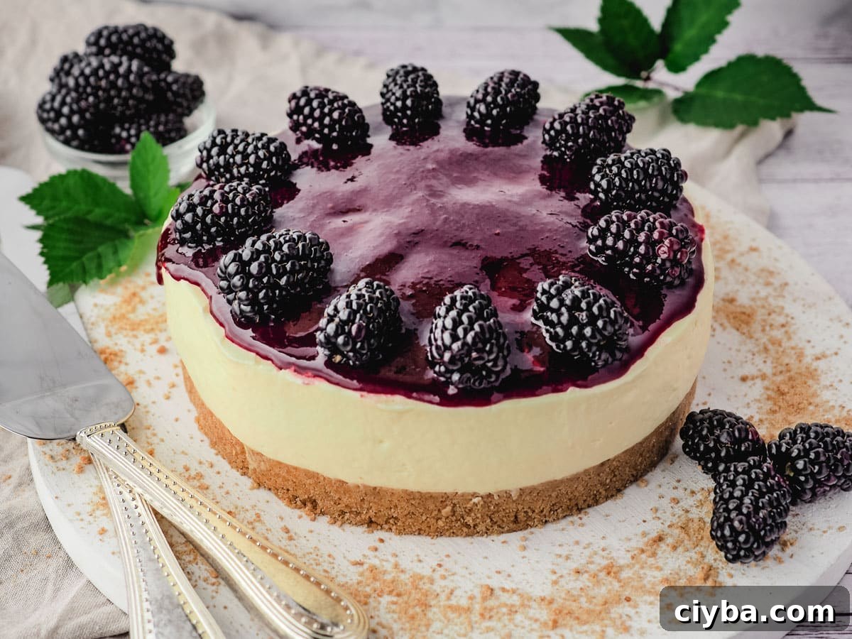 Whole no bake blackberry cheesecake with blackberry coulis and fresh blackberries on a serving plate, with serving ware on the side.