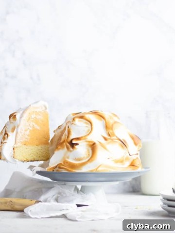 pumpkin baked alaska cake being sliced