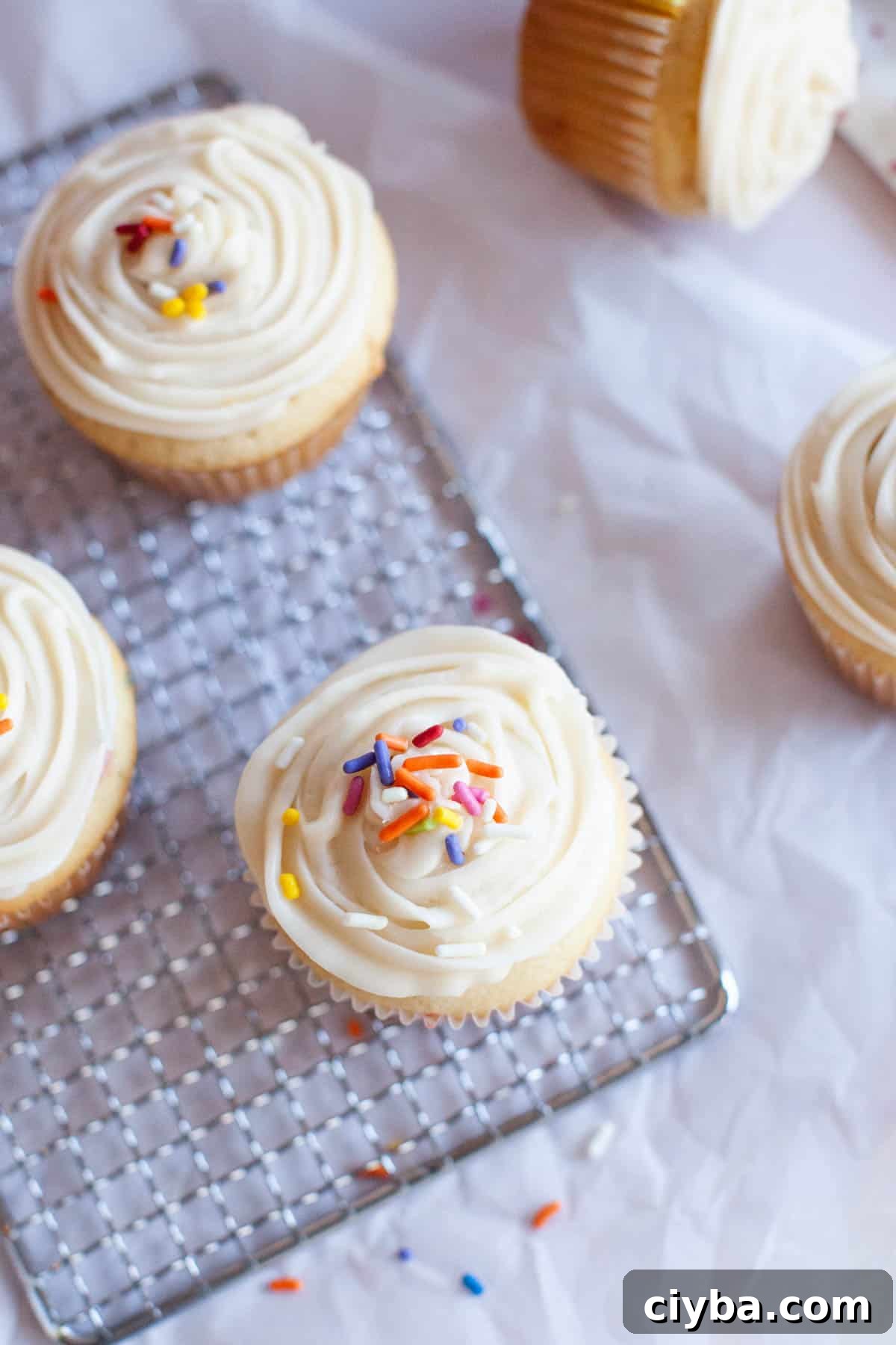 sprinkles rest atop a batch of confetti cupcakes.