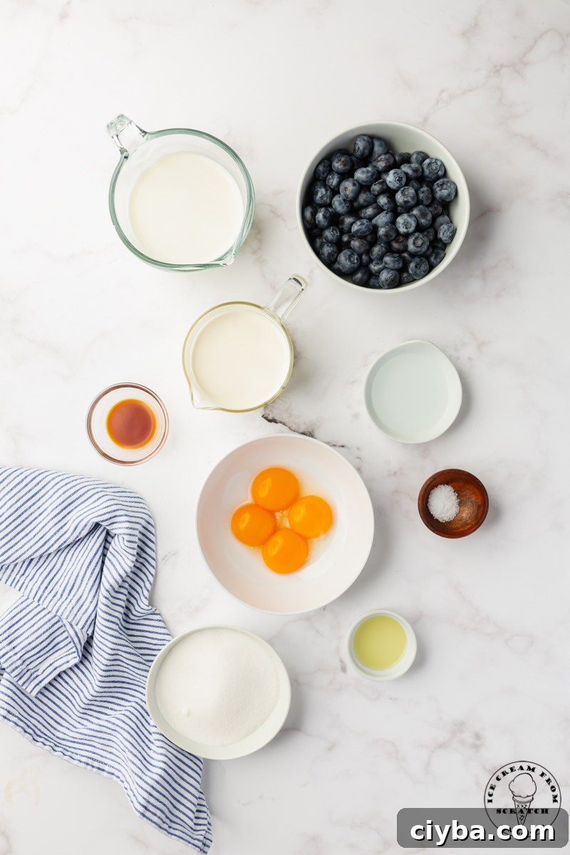 The ingredients for fresh, homemade blueberry ice cream measured into bowls on a marble counter, viewed from above