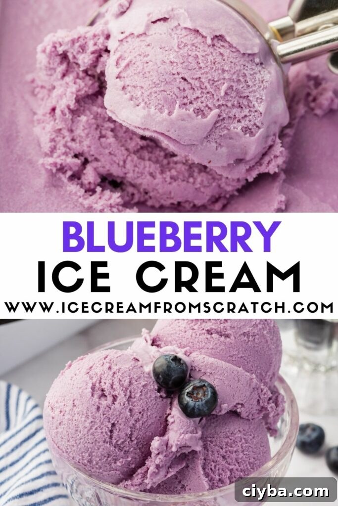 Two images of purple blueberry ice cream. Text in between says Blueberry Ice Cream Icecreamfromscratch dot com