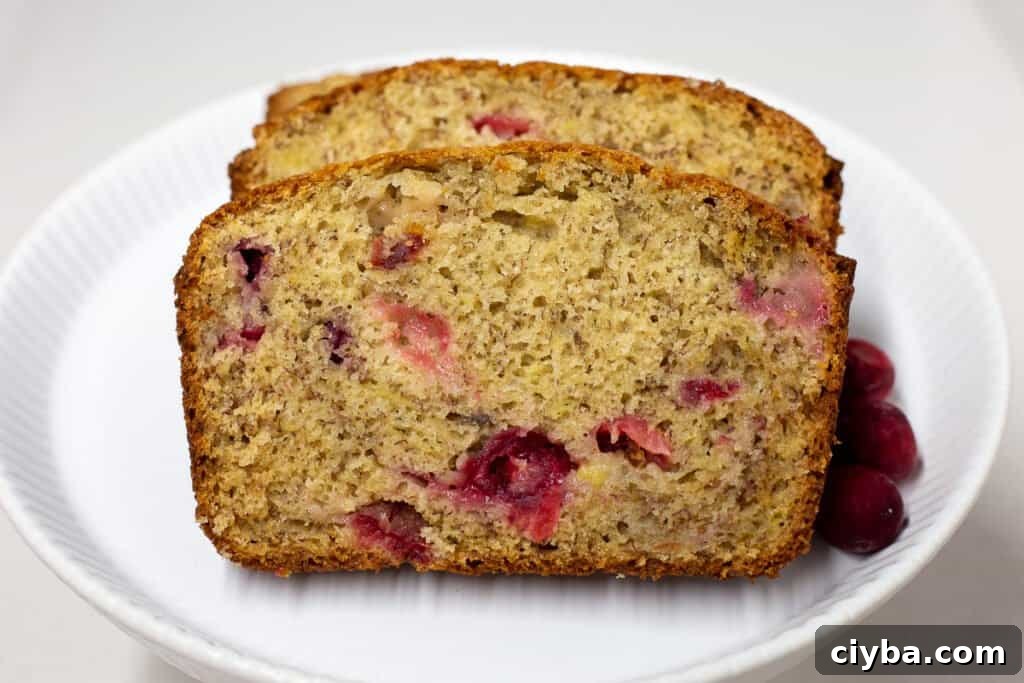 Slices of cranberry-banana bread on a white plate showing the texture of the bread.