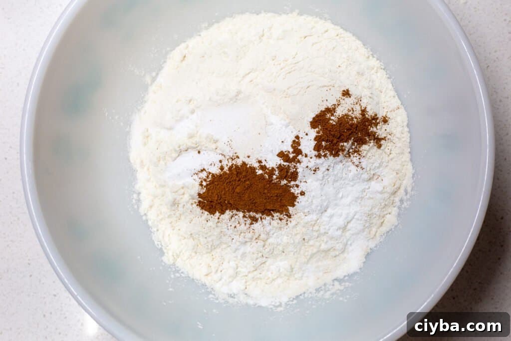 All dry ingredients for recipe in a mixing bowl.