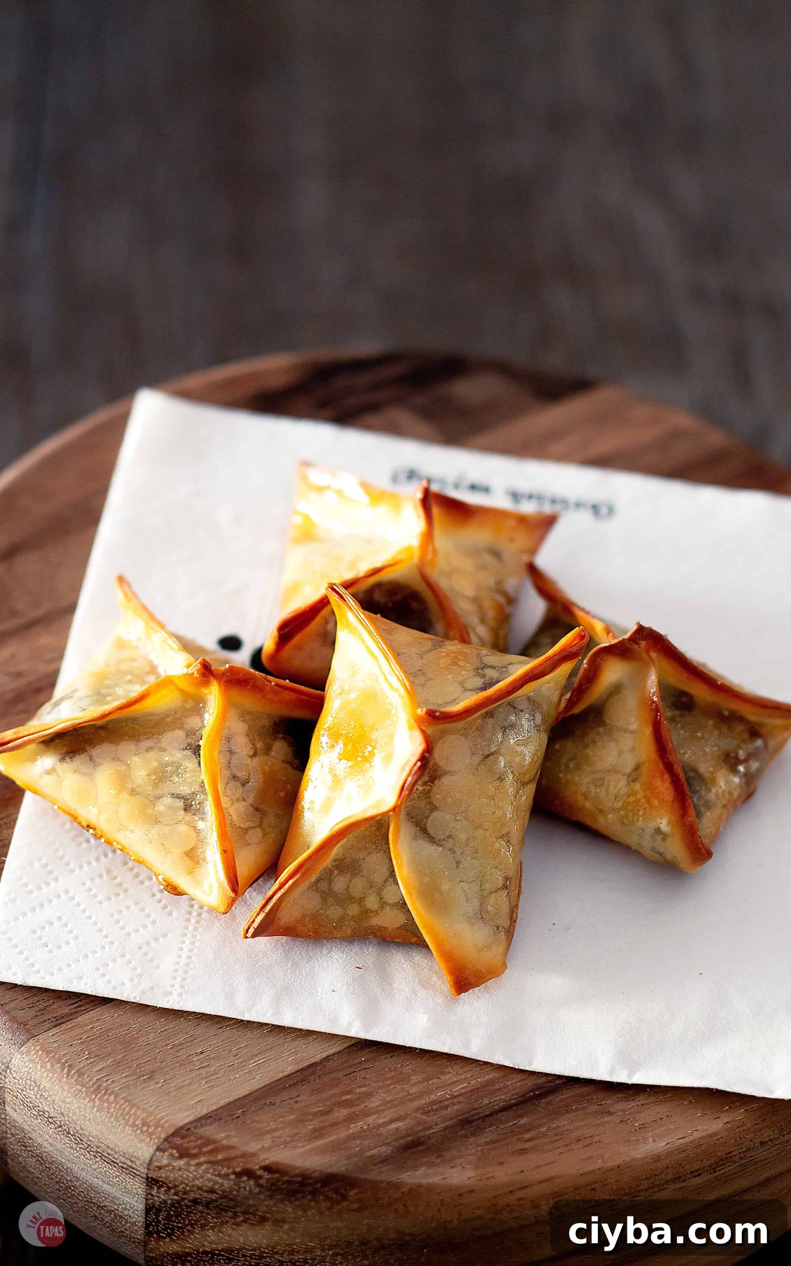 Turtle Wonton Kisses: Chocolate-Peanut Butter Candy Recipe 3 Chocolate Caramel and Pecans all bundled up in wonton wrappers. Turtle Wonton Kisses | Take Two Tapas | #Turtles #WontonCookies