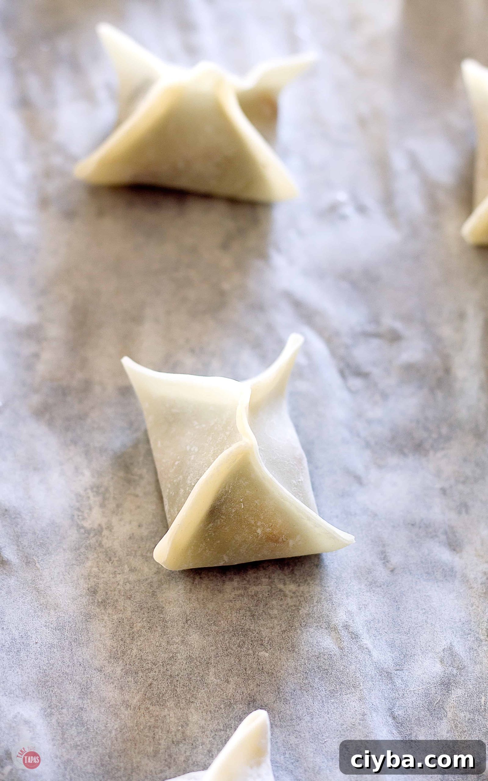 Turtle Wonton Kisses: Chocolate-Peanut Butter Candy Recipe 6 wontons ready to go in oven